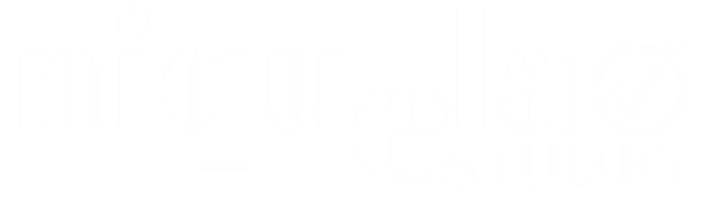 Logo de Niquelao Estudio, agencia de marketing digital en Almería